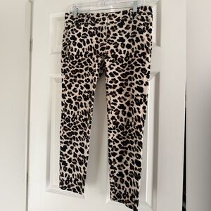 New York & Company Animal Print Stretch Pants